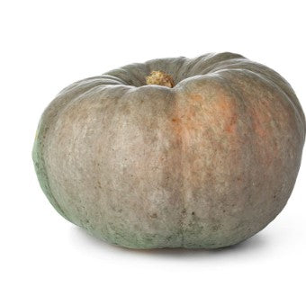 Fresh Crown Prince Squash 1 x Each - TO ORDER ONLY