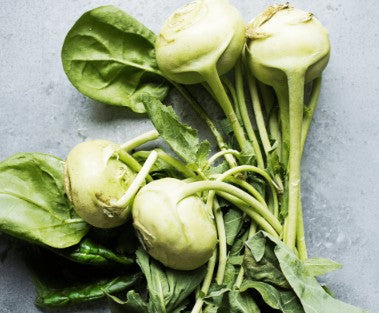 Fresh Kohlrabi 1 x Each - TO ORDER ONLY