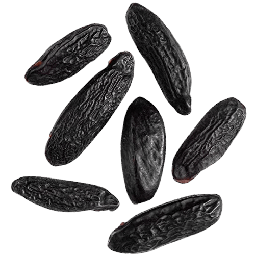 Centaur Tonka Beans 50gm
